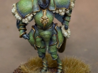 Dung Beetle Knight