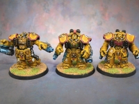 Imperial Fists Centurians