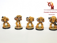 Imperial Fist Tacitcal Squad