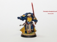 Imperial Fist Librarian