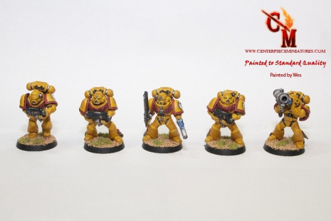 Imperial Fist Tacitcal Squad