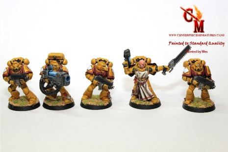 Imperial Fist Tactical Squad