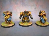 Imperial Fists Centurians